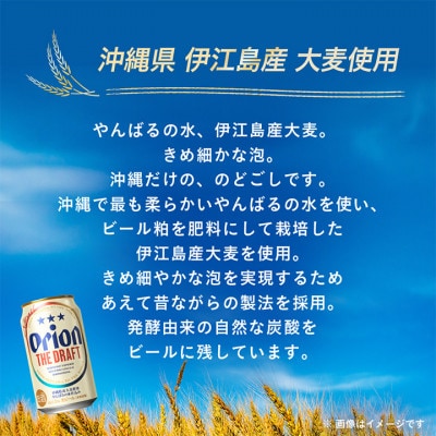 【沖縄県共通返礼品・オリオンビール】オリオン ザ・ドラフト(350ml×24本)