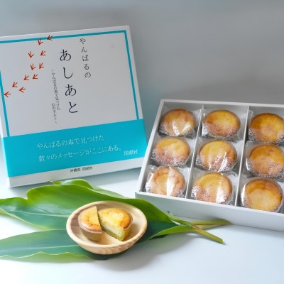 【国頭村産茶葉使用】日本一早い新茶「おくみどり茶」が香るチーズタルト 18個入(9個入×2箱)