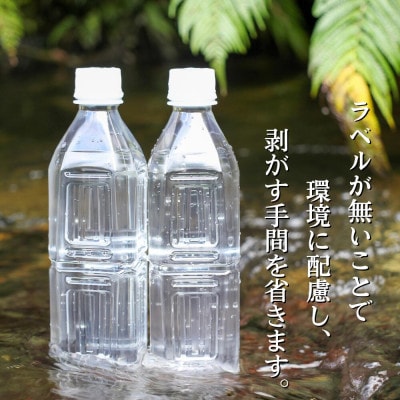 国頭村のおいしい水 ラベルレスボトル500ml×24本 やんばるの美味しい水 環境にやさしいエコ仕様