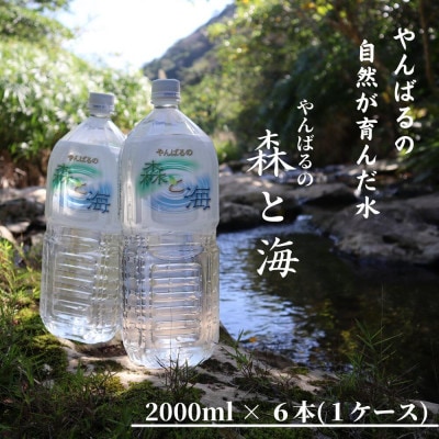 国頭村のおいしい水 やんばるの森と海 2000ml×6本