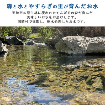 国頭村のおいしい水 やんばるの森と海 2000ml×6本