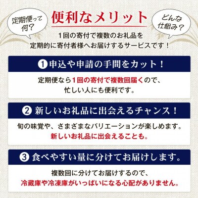 【毎月定期便】オリオン ザ・ドラフト(350ml×24本)全6回