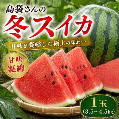 【2027年2月中旬から順次発送】島袋さんの冬スイカ 1玉(3.5～4.5kg)