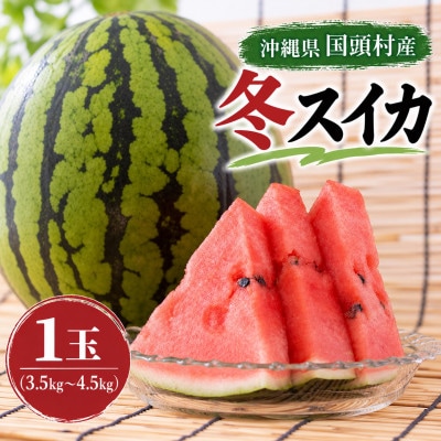 【2027年2月中旬から順次発送】島袋さんの冬スイカ 1玉(3.5～4.5kg)