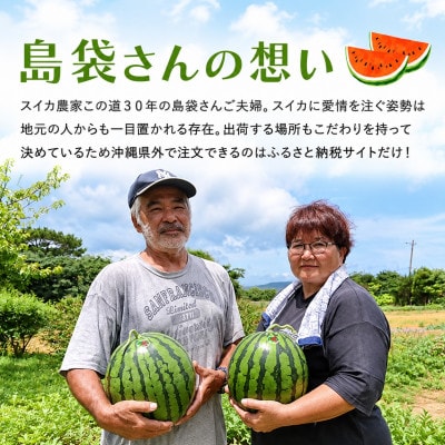 【2027年2月中旬から順次発送】島袋さんの冬スイカ 1玉(3.5～4.5kg)