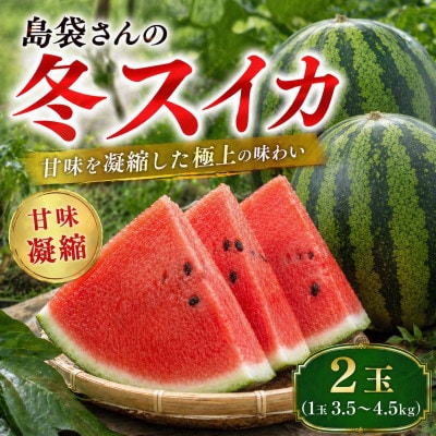 【2027年2月中旬から順次発送】島袋さんの冬スイカ 2玉(1玉3.5～4.5kg)