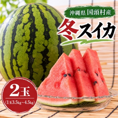 【2027年2月中旬から順次発送】島袋さんの冬スイカ 2玉(1玉3.5～4.5kg)