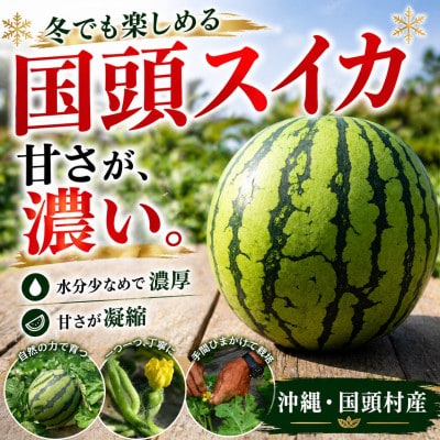 【2027年2月中旬から順次発送】島袋さんの冬スイカ 2玉(1玉3.5～4.5kg)