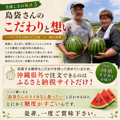 【2027年2月中旬から順次発送】島袋さんの冬スイカ 2玉(1玉3.5～4.5kg)