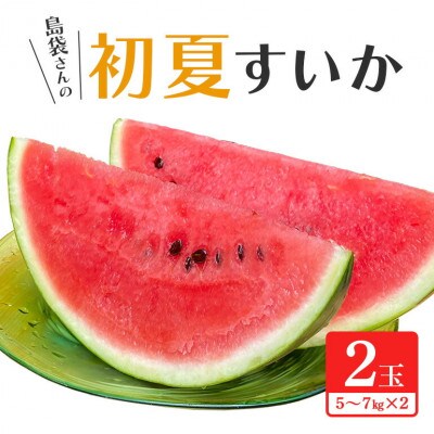 【2025年5月～6月頃の発送】島袋さんの夏スイカ大玉 2玉(1玉あたり5.0～7.0kg)