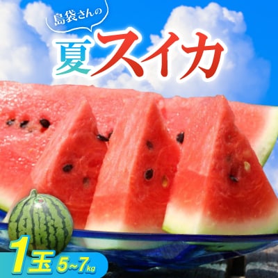 【2025年8月中旬から順次発送】島袋さんの夏スイカ大玉 1玉(5.0～7.0kg)