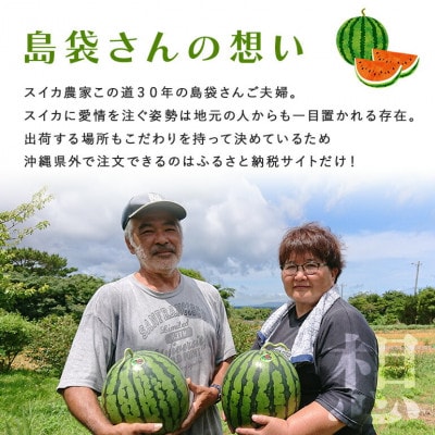 【2025年8月中旬から順次発送】島袋さんの夏スイカ大玉 1玉(5.0～7.0kg)
