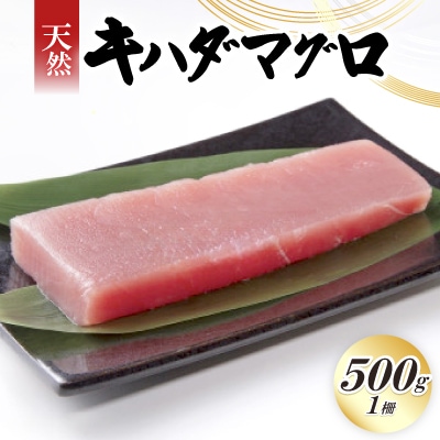 天然キハダマグロ 500g