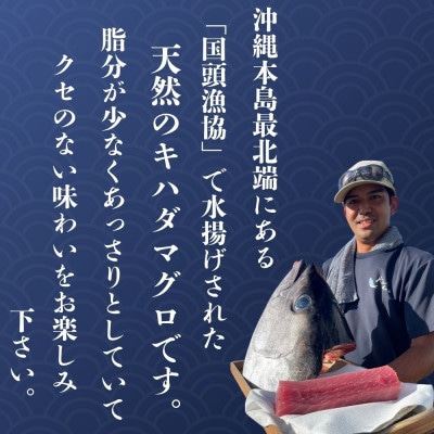 天然キハダマグロ 500g