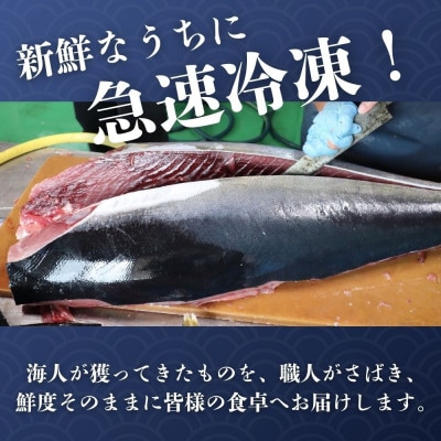 天然キハダマグロ 500g