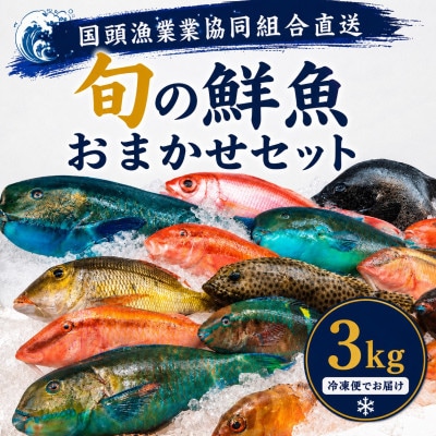【国頭漁業協同組合直送】旬の鮮魚おまかせセット 3kg(4～8種類)