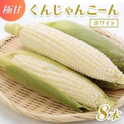 【2026年4～5月頃順次発送】春獲れ一番!極甘くんじゃんこーん ホワイト 8本 とうもろこし