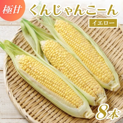 【2026年4～5月頃順次発送】春獲れ一番!極甘くんじゃんこーん 8本 とうもろこし
