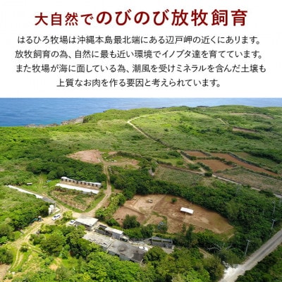 国頭イノブタ ロース(スライス) 500g