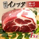 国頭イノブタ ロース(ブロック) 1kg