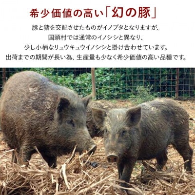 旨み凝縮した 国頭イノブタ 焼肉スライス 300g