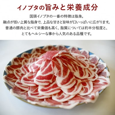 旨み凝縮した 国頭イノブタ 焼肉スライス 300g
