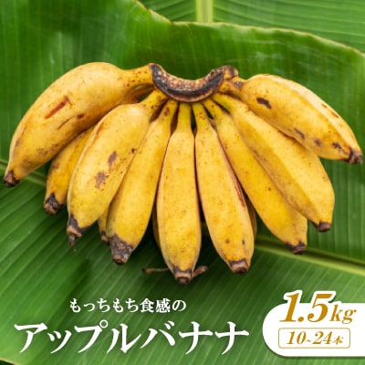 もっちもち食感のアップルバナナ1.5kg(10～24本)