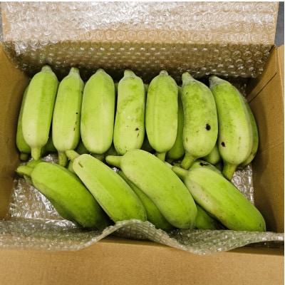 【栽培期間中農薬不使用】やんばるバナナ1.5kg(7～20本)