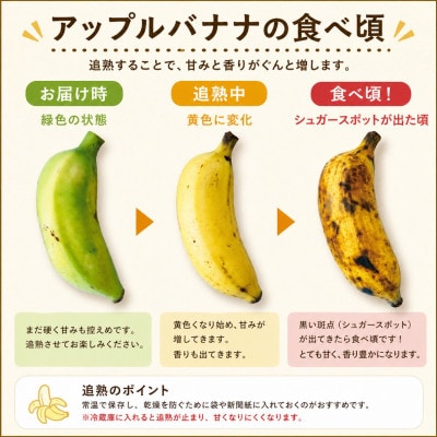 【栽培期間中農薬不使用】やんばるバナナ1.5kg(7～20本)