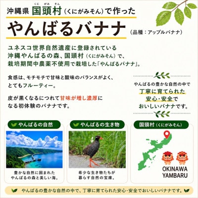 【栽培期間中農薬不使用】やんばるバナナ1.5kg(7～20本)