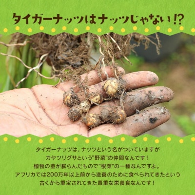 タイガーナッツ グラノーラ(ドライフルーツ) 5袋