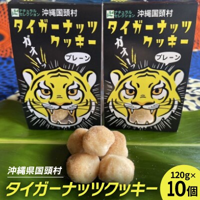 グルテンフリー クッキー プレーン味 国産タイガーナッツ 120g×10個 ちんすこう