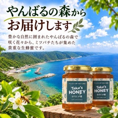 【沖縄県国頭村産】やんばるpure生蜂蜜 ほろにが蜜 180g×3瓶