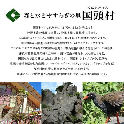 美ら島あぐー ロース250g バラ250g しゃぶしゃぶセット計500g