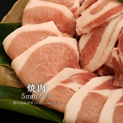 【ふるさと納税限定】くんじゃん豚 食べ比べセット 焼肉・しゃぶしゃぶ 計1.6kg