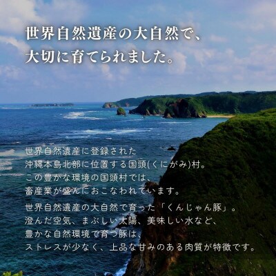 【ふるさと納税限定】くんじゃん豚 食べ比べセット 焼肉・しゃぶしゃぶ 計1.6kg