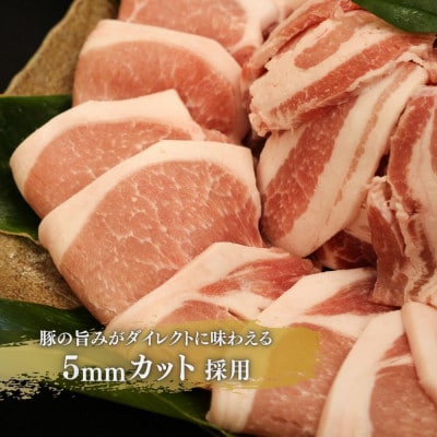 【毎月定期便】くんじゃん豚 焼肉セット(バラ・ロース)計19.2kg全6回