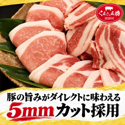 【毎月定期便】くんじゃん豚 焼肉セット(バラ・ロース)計19.2kg全6回