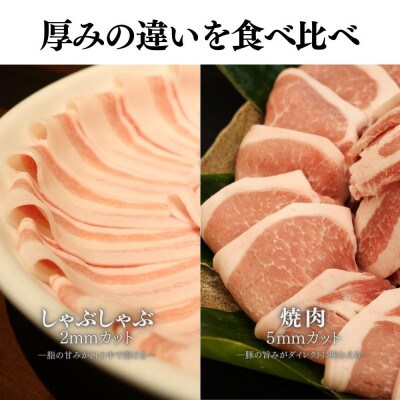 【毎月定期便】くんじゃん豚 食べ比べセット 焼肉・しゃぶしゃぶ 計19.2kg全6回