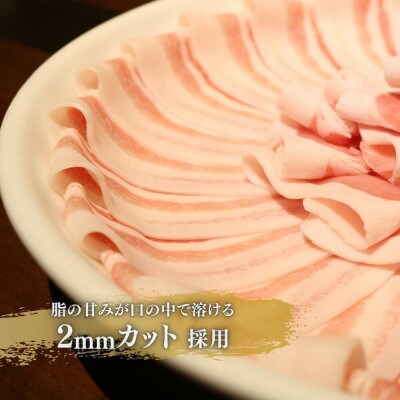 【毎月定期便】【ふるさと納税限定】くんじゃん豚 食べ比べ定期便 総9.6kg全6回