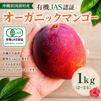 【2026年7月上旬から順次発送・有機JAS認証】オーガニックマンゴー1kg(2~3玉)