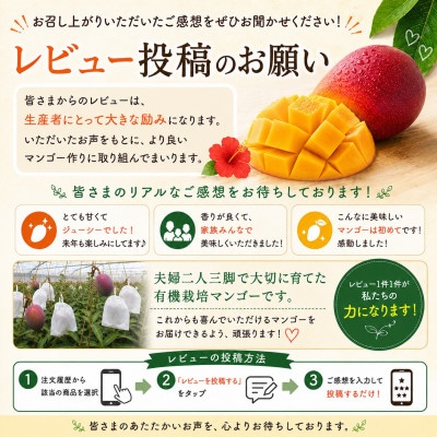 【2026年7月上旬から順次発送・有機JAS認証】オーガニックマンゴー2kg(4~5玉)
