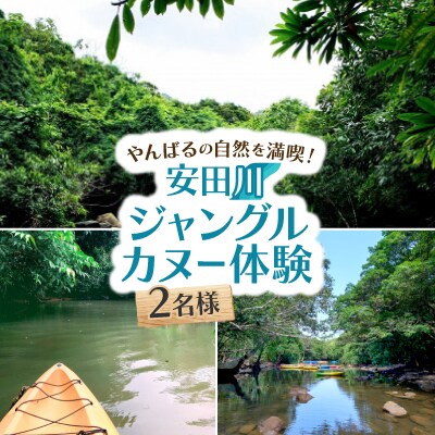 安田川ジャングルカヌー体験 2名様