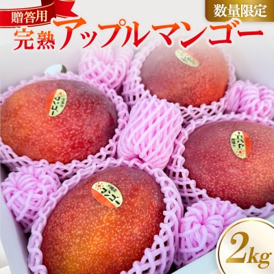 【2025年6月～7月頃の発送】贈答用のアップルマンゴー2kg