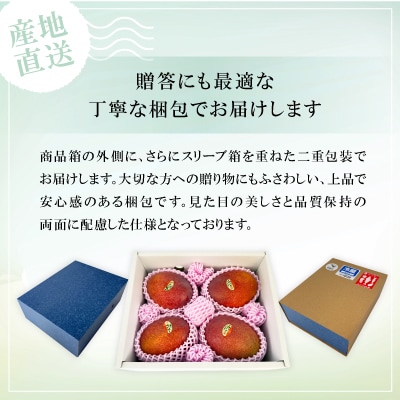 【2025年6月～7月頃の発送】贈答用のアップルマンゴー2kg