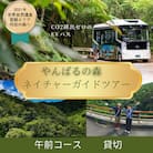 【1ヶ月前予約必須】やんばるの森ネイチャーガイドEVバスツアー 午前コース 貸切(最大16名乗車可能