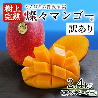 【2025年発送・訳あり】燦々マンゴー2.4kg(4～6玉)