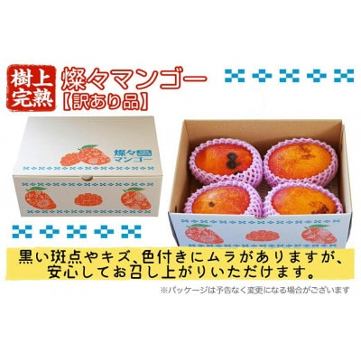 【2025年発送・訳あり】燦々マンゴー2.4kg(4～6玉)