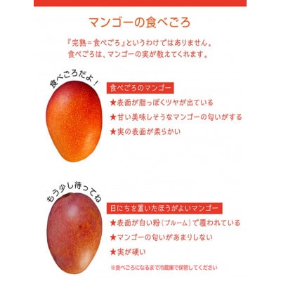 【2025年発送・訳あり】燦々マンゴー2.4kg(4～6玉)