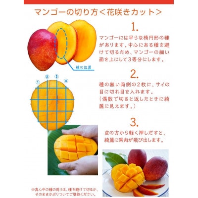 【2025年発送・訳あり】燦々マンゴー2.4kg(4～6玉)